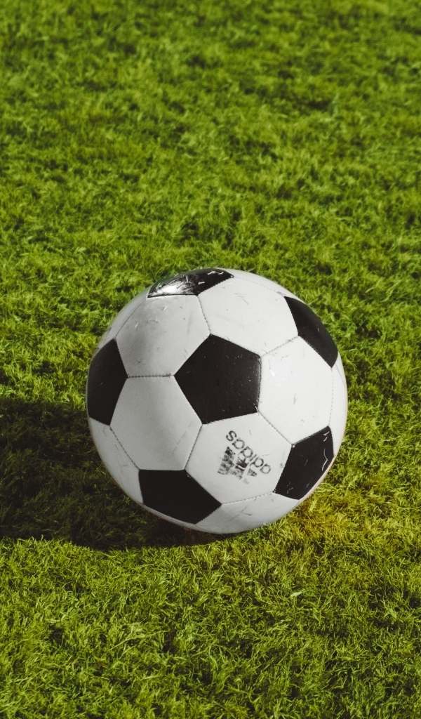 Футбольный мяч на поле