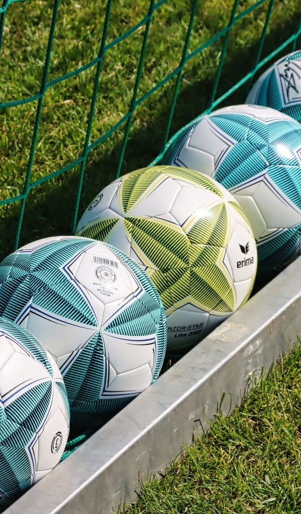 Футбольные мячи лежат у сетки на траве