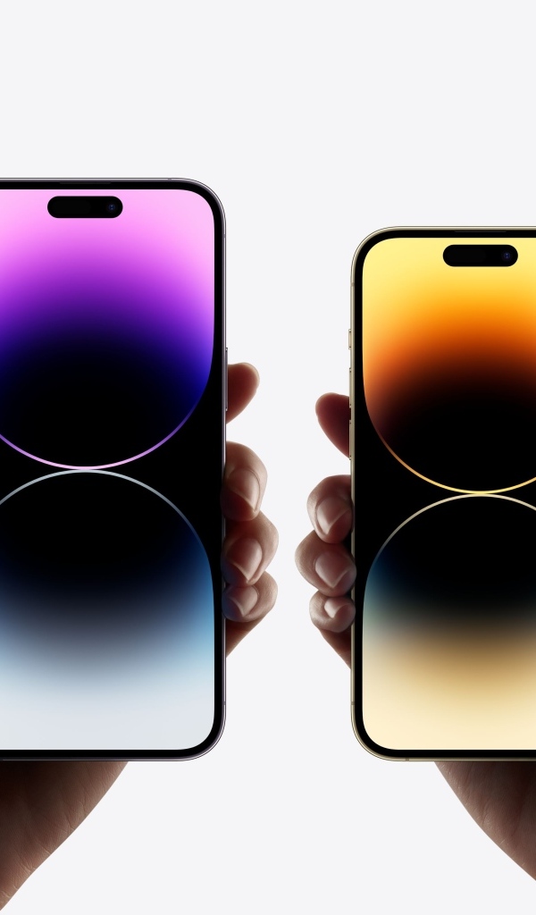 Два телефона iPhone 14 Pro  и iPhone 14 Pro Max на белом фоне