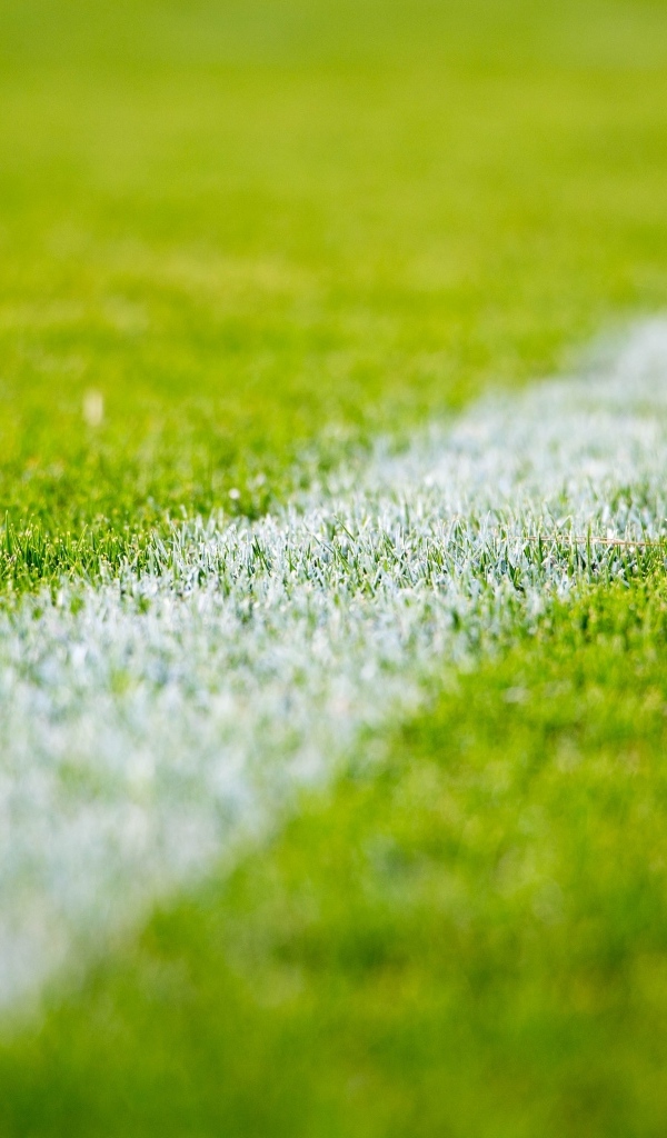 Белая полоса на футбольном поле