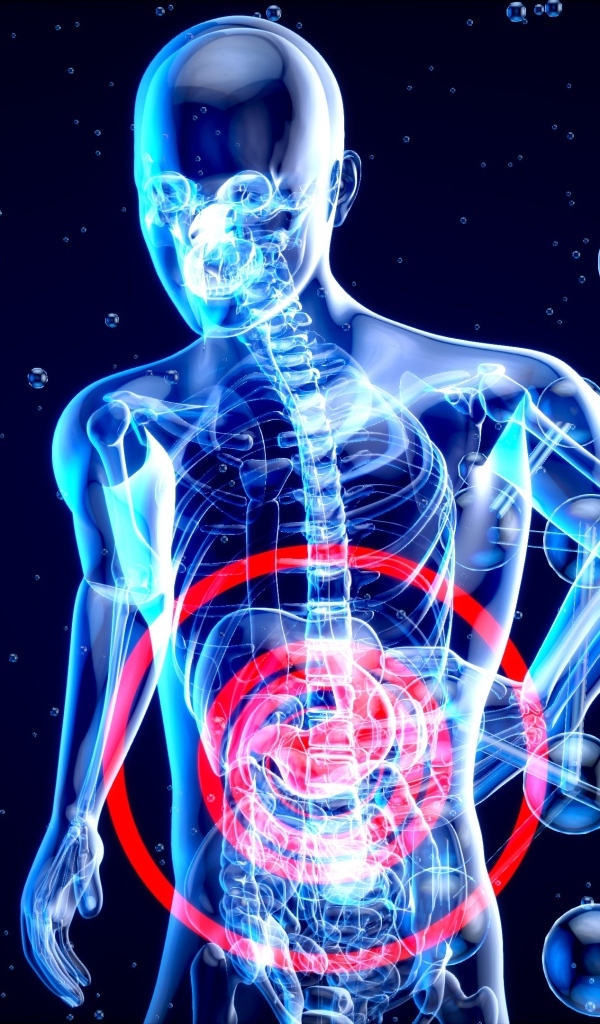 Скелет человека с  клетками на синем фоне