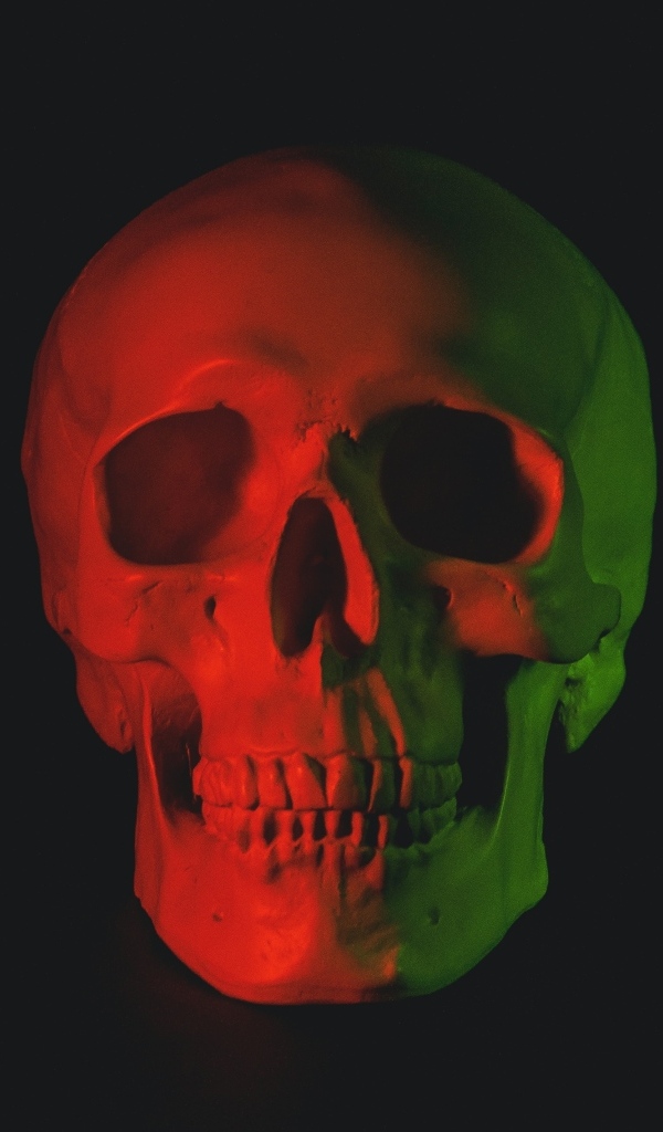 Череп в красном свете на черном фоне