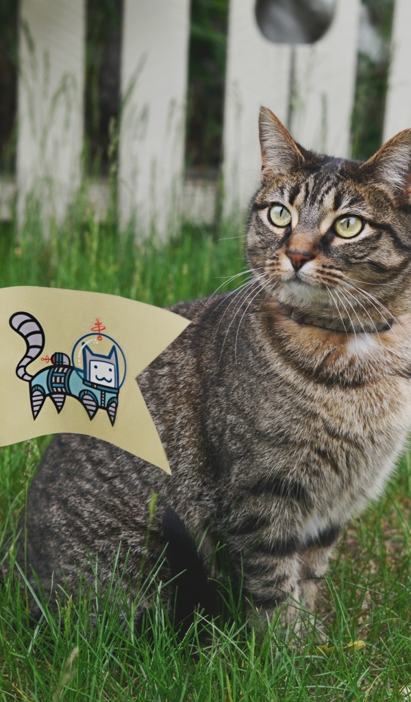 Серый кот с флажком сидит в зеленой траве