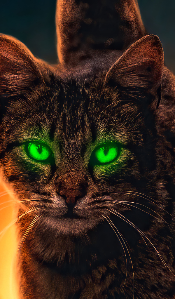 Зеленоглазый серый кот с голубыми бабочками