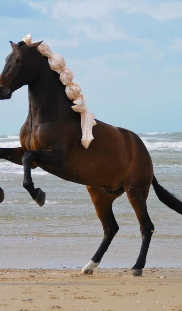Большая коричневая лошадь на песке у моря