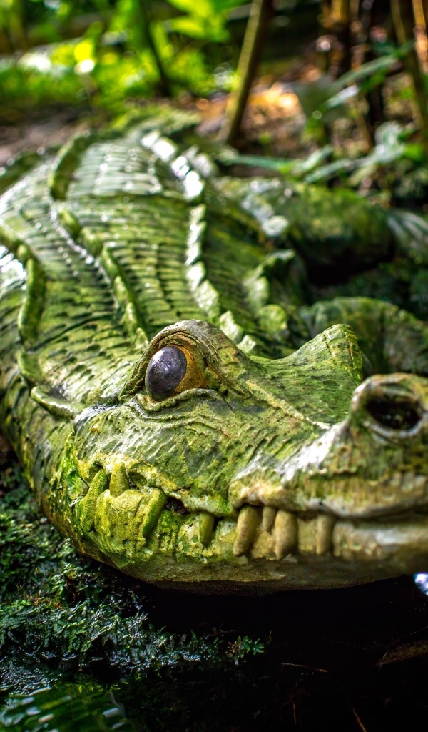 Большой зеленый крокодил у воды