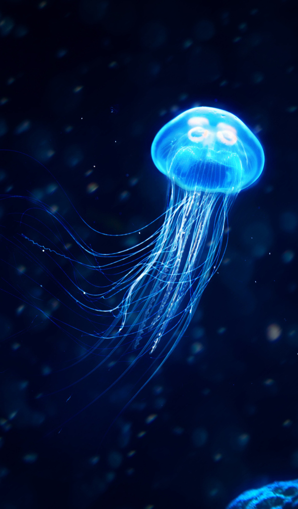 Голубая медуза плавает в темной воде