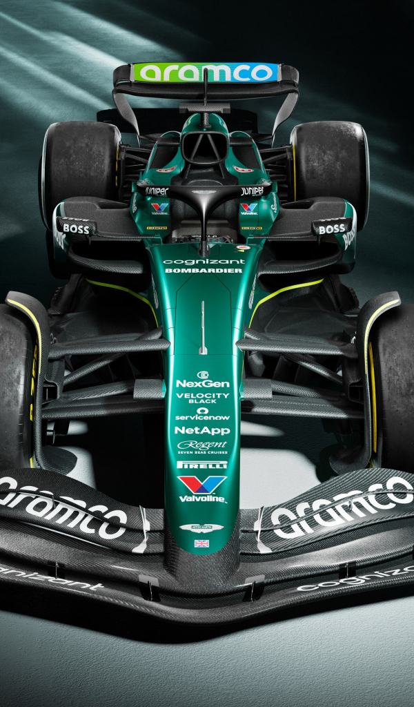 Гоночный автомобиль Aston Martin AMR24 2024 года вид сверху