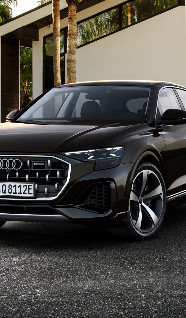Черный автомобиль  Audi Q8 55 TFSI E Quattro 2024 года