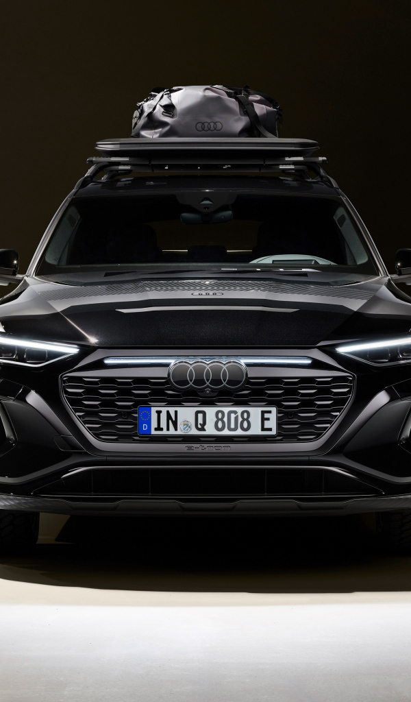 Вид спереди на автомобиль Audi Q8 E-Tron Edition Dakar 2024 года