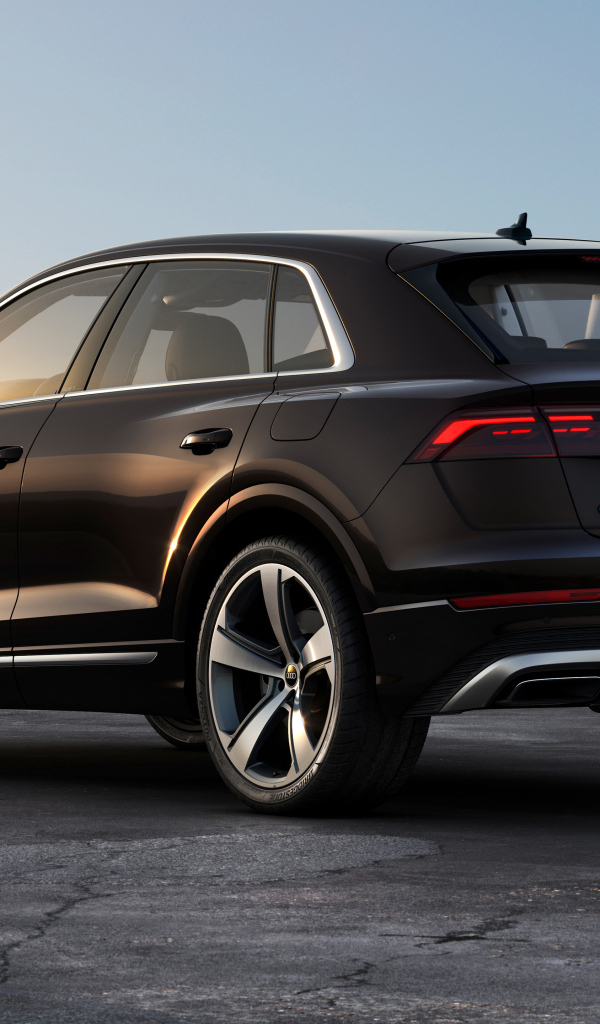 Вид сзади на черный автомобиль Audi Q8 55 TFSI E Quattro 2024 года