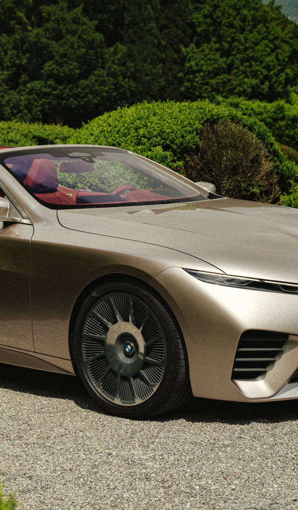 Кабриолет BMW Concept Skytop