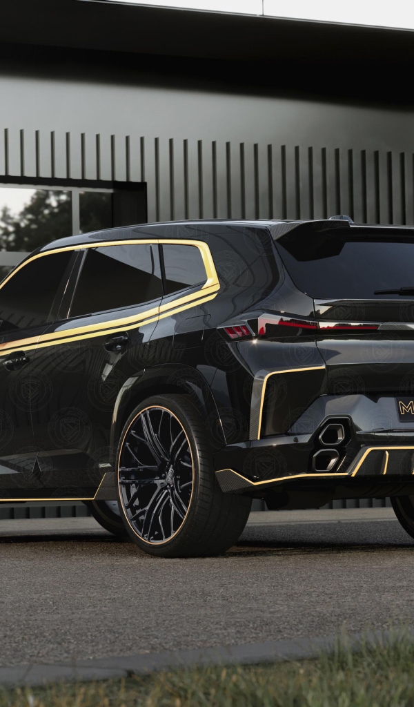 Вид сзади на черный автомобиль BMW XM Thor Regular Carbon Package 2024 года