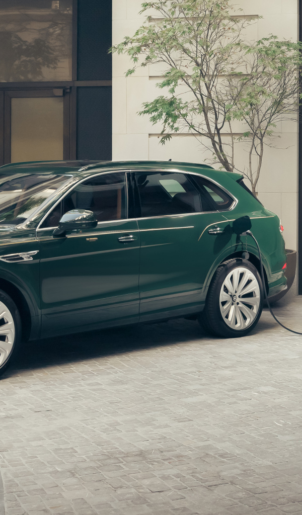 Зеленый автомобиль Bentley Bentayga Hybrid Peninsula London 2024 года