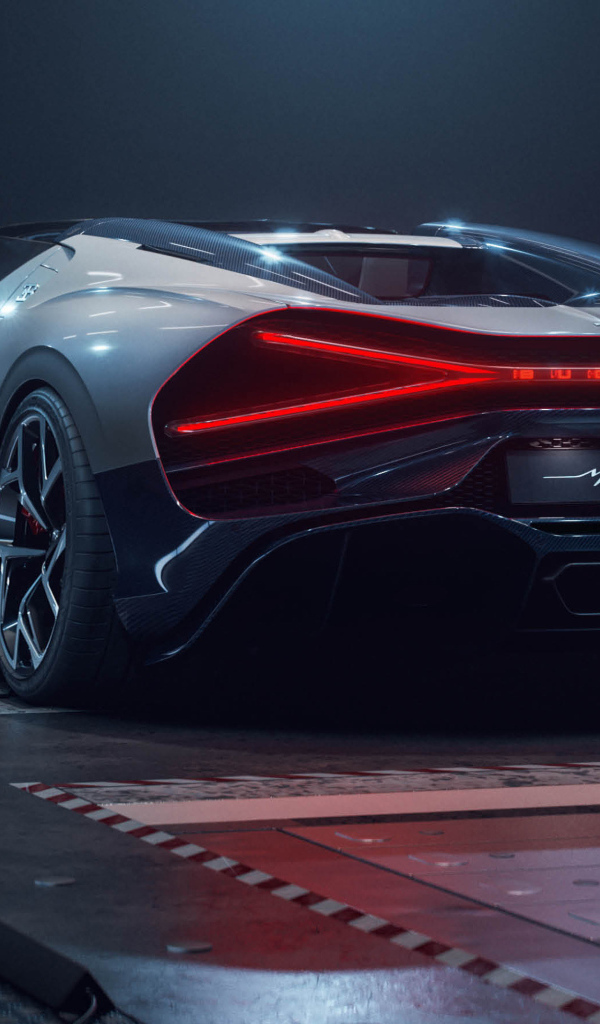 Вид сзади на автомобиль Bugatti W16 Mistral Roadster