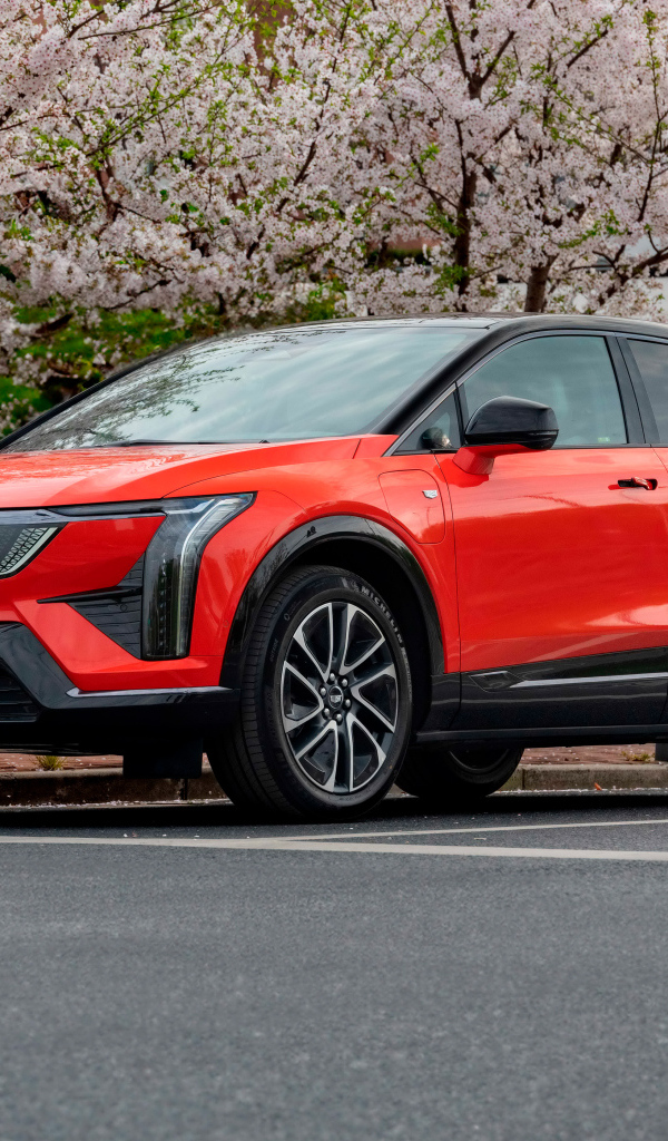Красный Cadillac Optiq Sport 2024 года у цветущих деревьев
