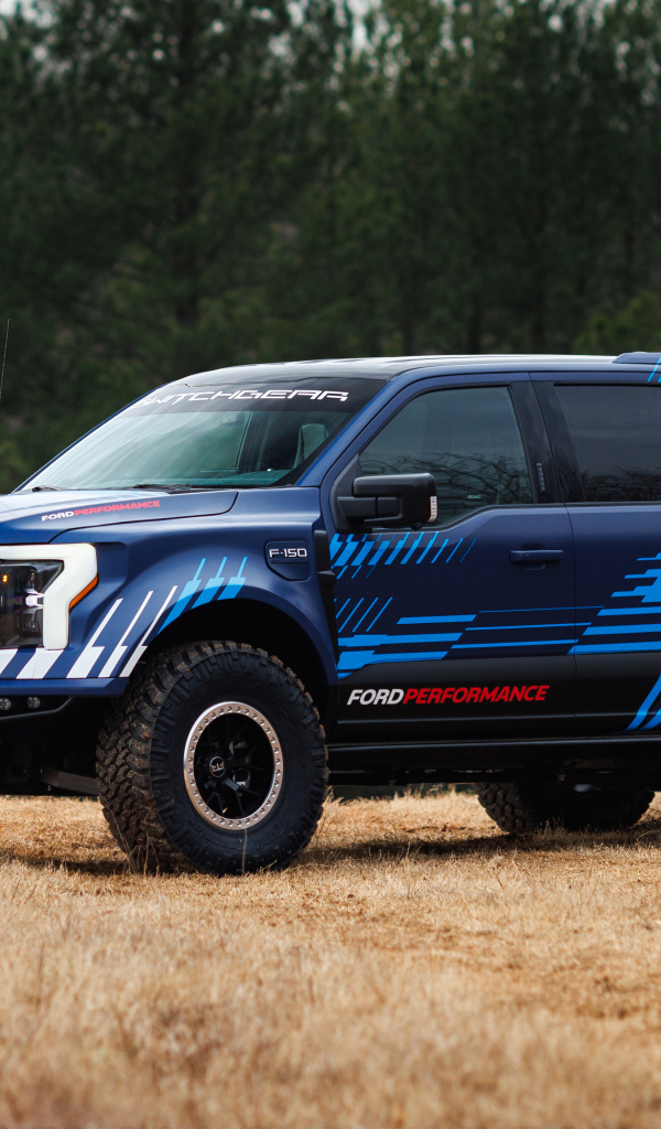 Большой пикап Ford F-150 Lightning Switchgear 2024 года