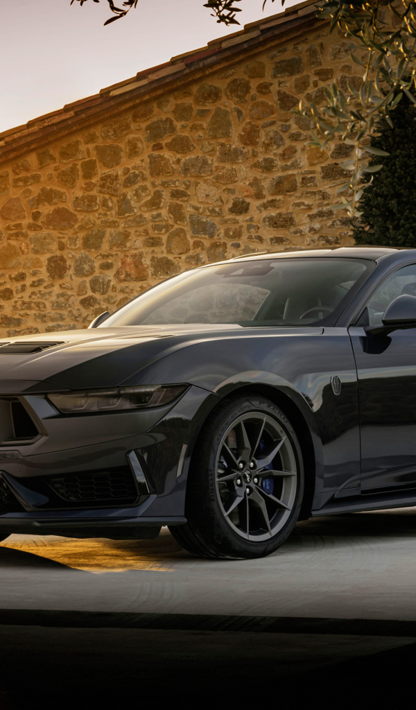 Автомобиль Ford Mustang Dark Horse 2024 года