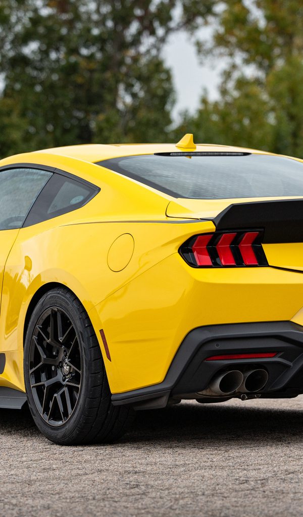Вид сзади на желтый автомобиль RTR Ford Mustang S650 2024 года