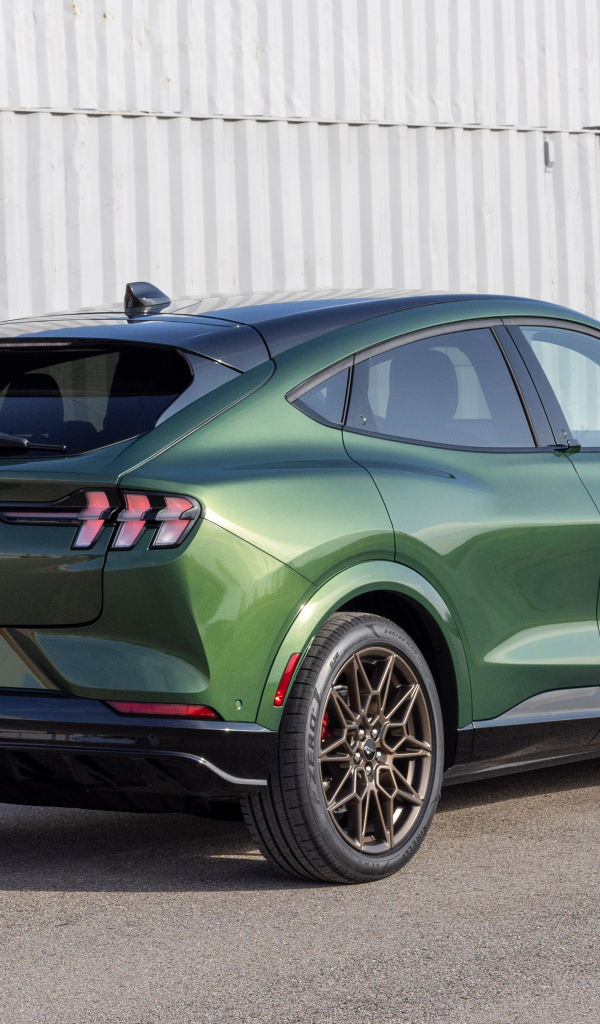 Вид сзади на автомобиль  Ford Mustang Mach-E GT Bronze Appearance Package 2024  года