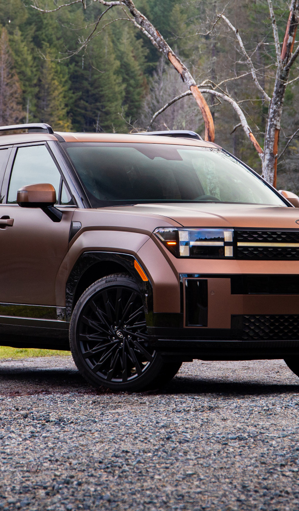 Внедорожник Hyundai Santa Fe Calligraphy 2024 года