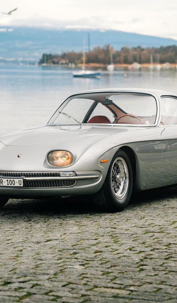 Вид спереди на автомобиль Lamborghini 350 GT у воды