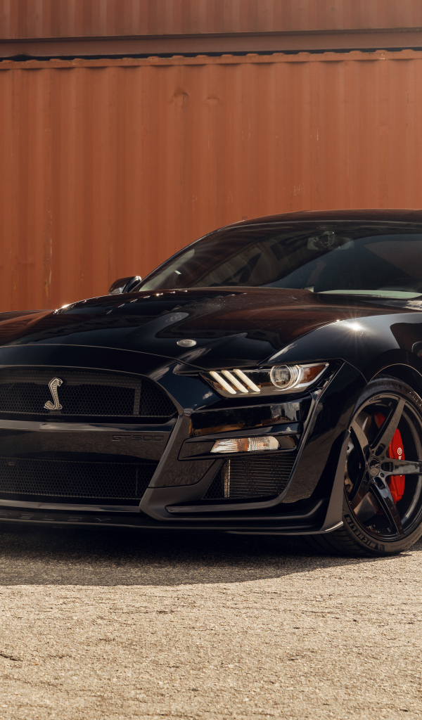 Черный автомобиль Shelby GT500  в порту