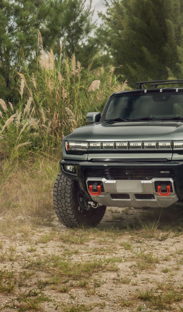 Пикап Hummer EV в зарослях