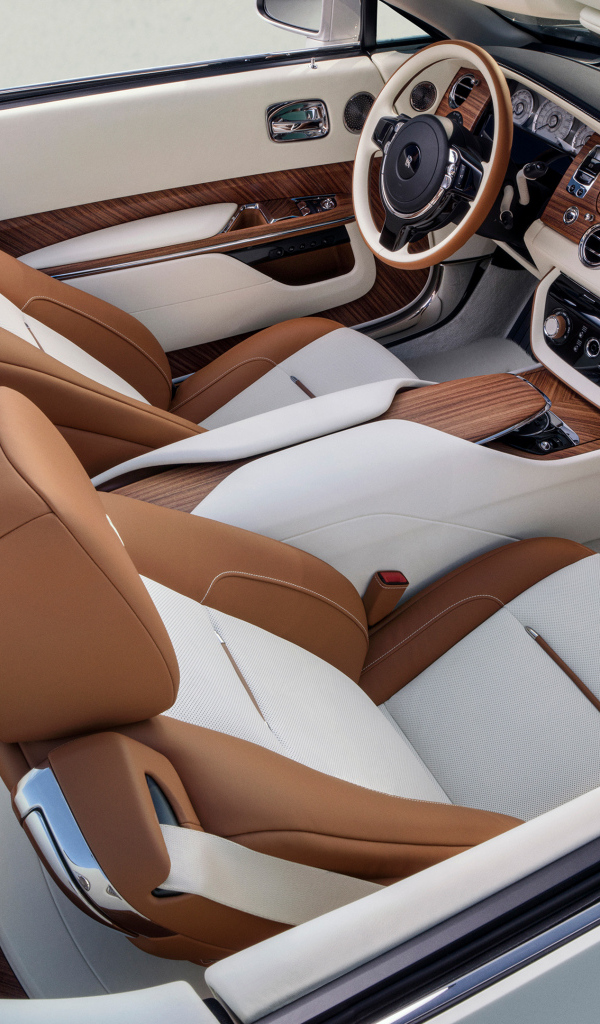 Салон автомобиля Rolls-Royce Arcadia Droptail