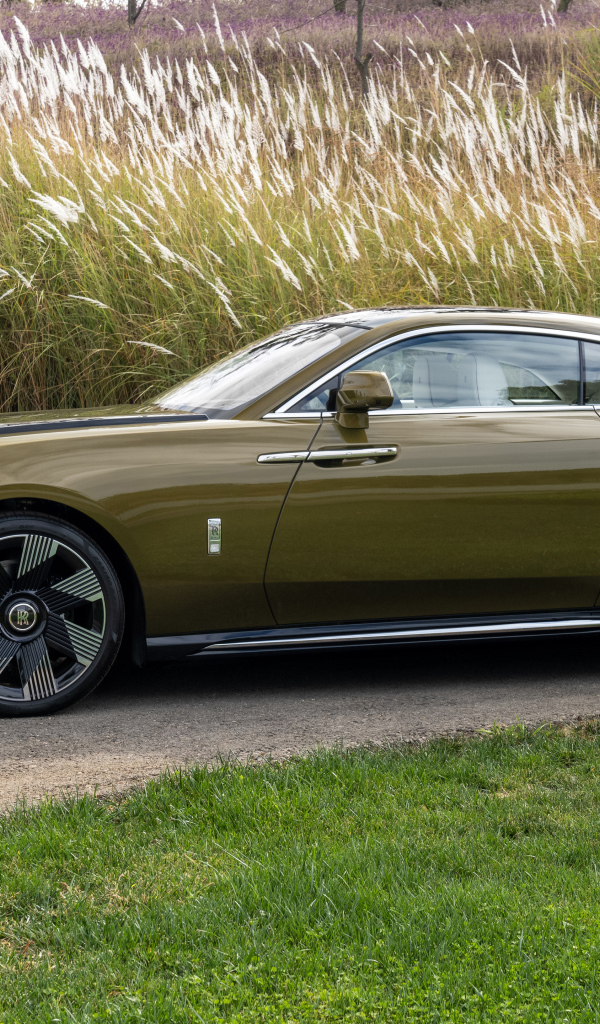 Оливковый автомобиль Rolls-Royce Spectre у высокой травы