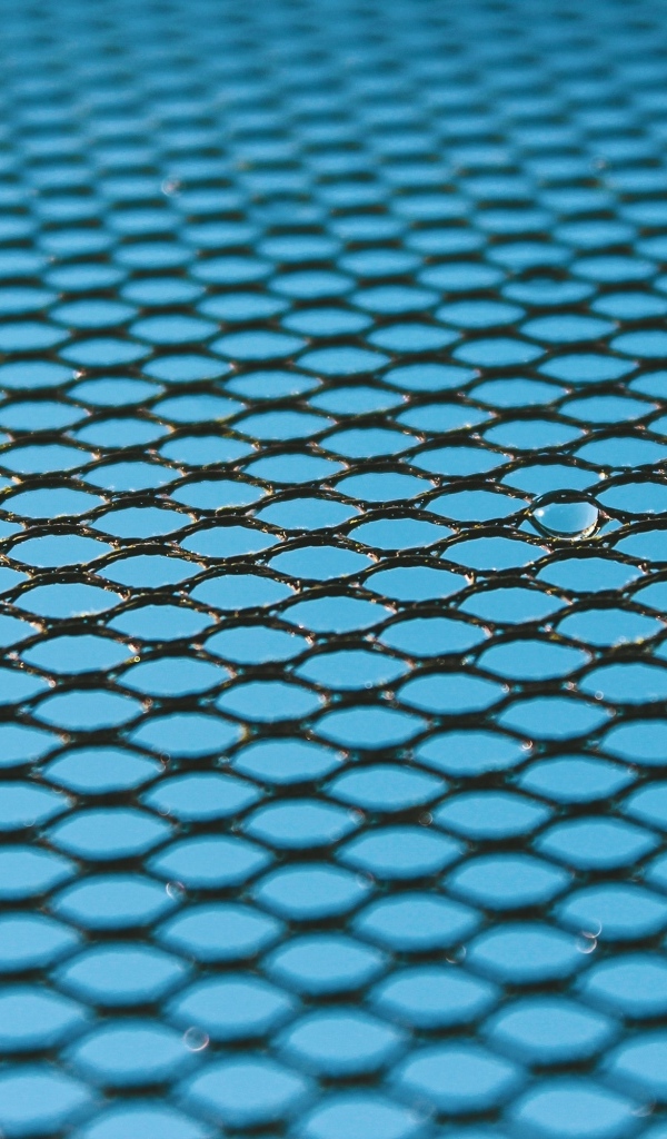 Черная сетка на голубом для фона