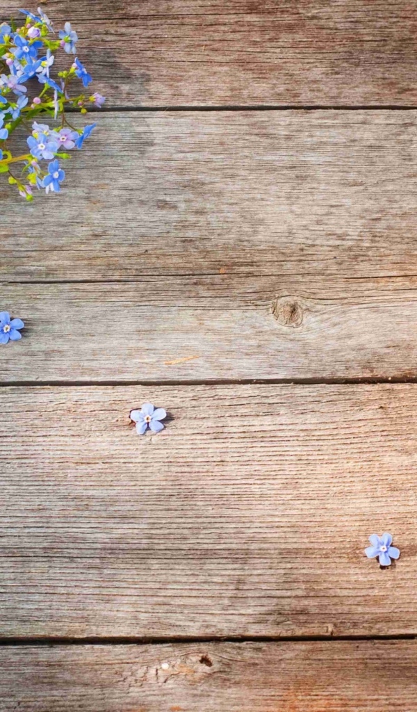 Голубые цветы незабудки на деревянном фоне