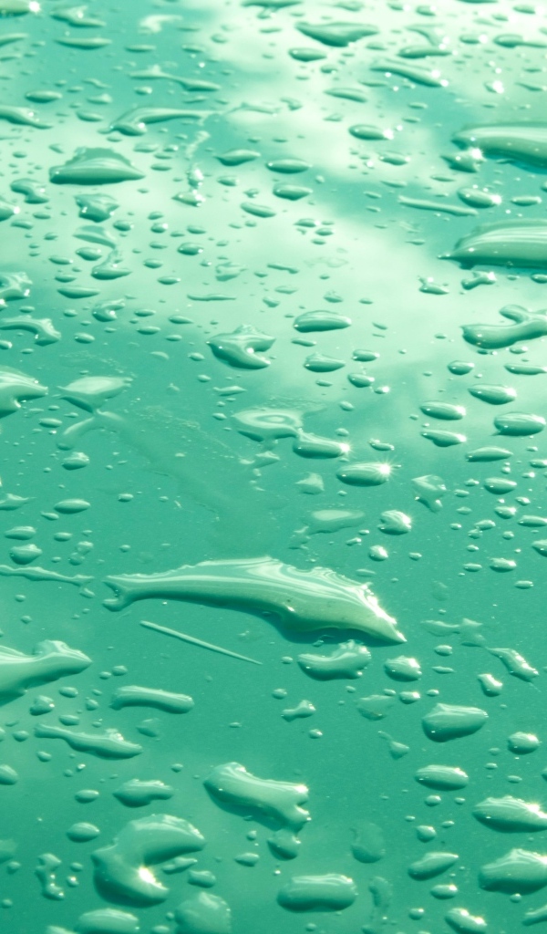 Капли воды на зеленом фоне