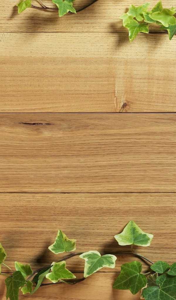 Деревянный фон с листьями плюща