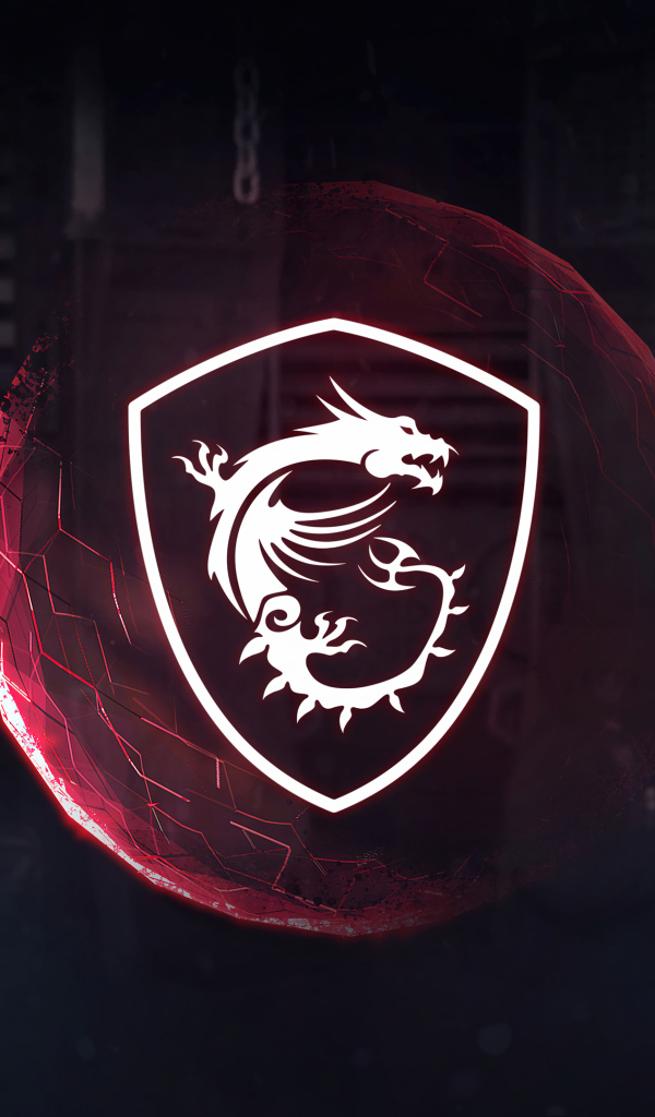 Логотип msi с белым драконом на сером фоне