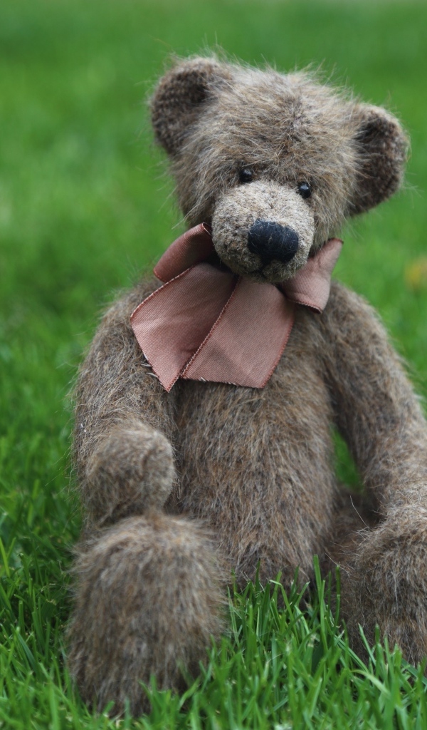 Игрушечный медведь с бантом сидит на зеленой траве