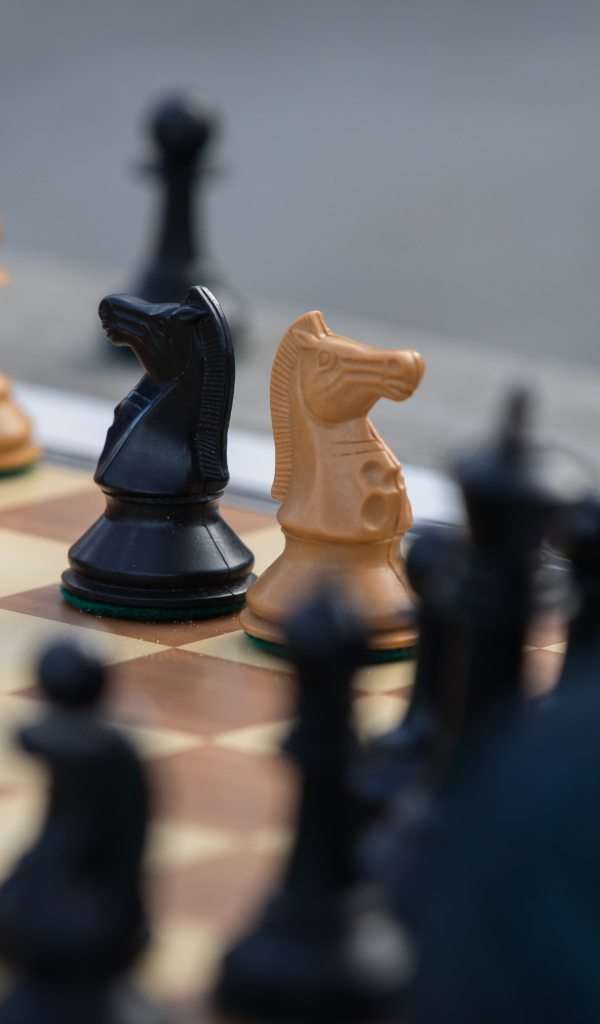 Красивые деревянные шахматные фигуры на доске