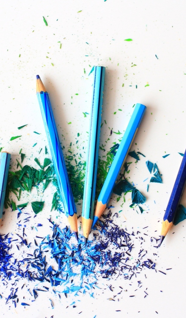 Синие заточенные карандаши со стружкой на белом фоне