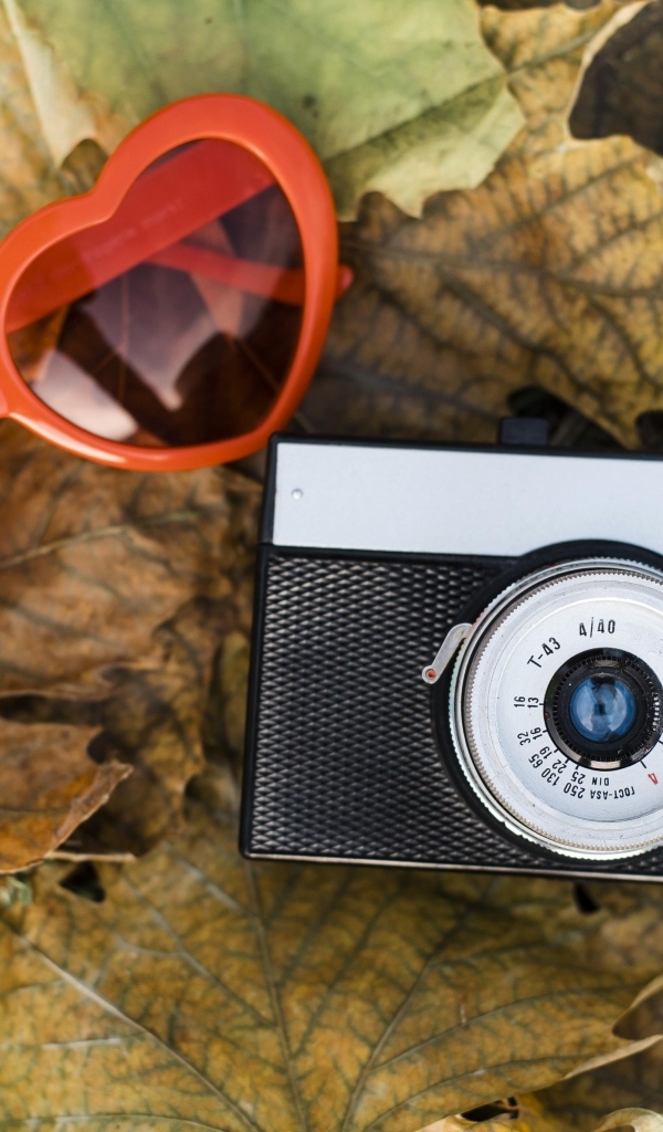 Фотоаппарат с очками на опавшей листве