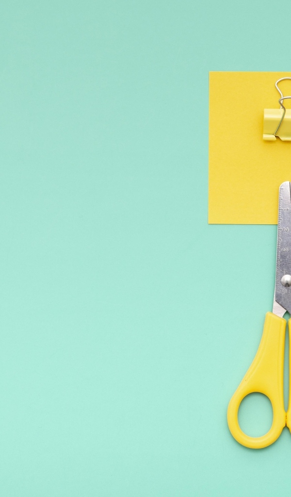 Фломастеры, ножницы и карандаш на голубом фоне