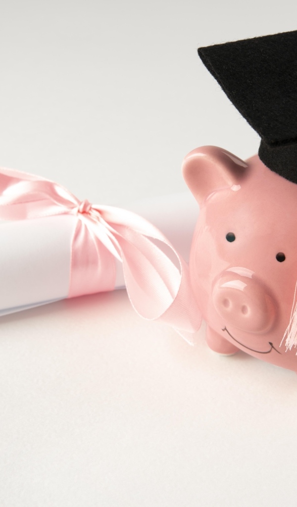 Свинья копилка с бумажным свертком на сером фоне