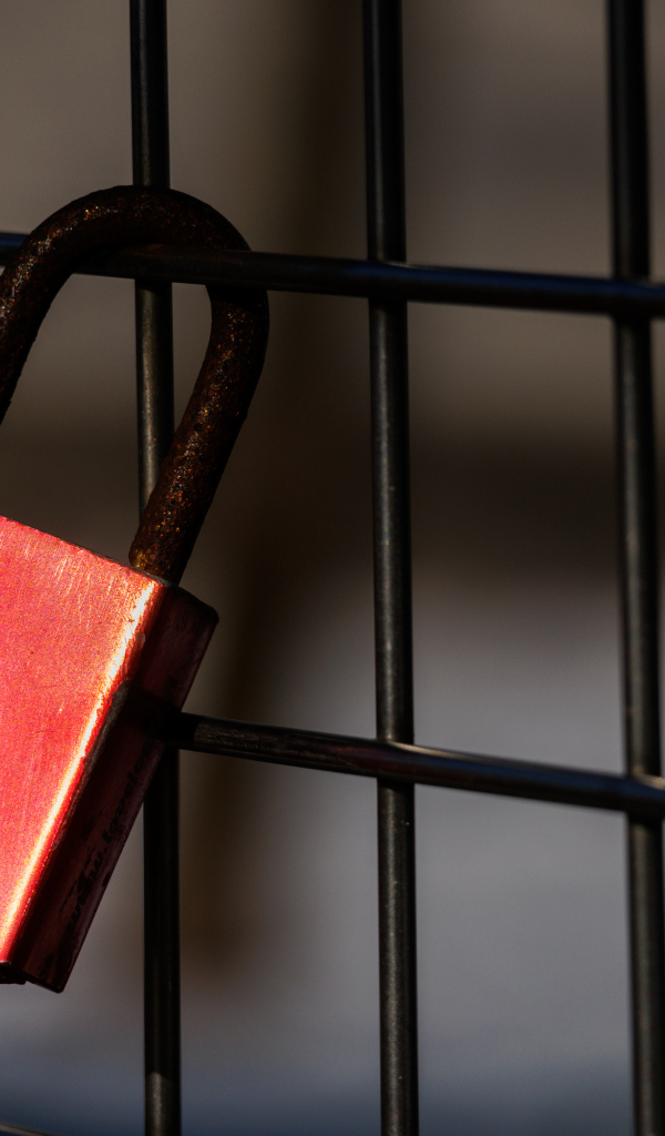 Красный замок на сетке 