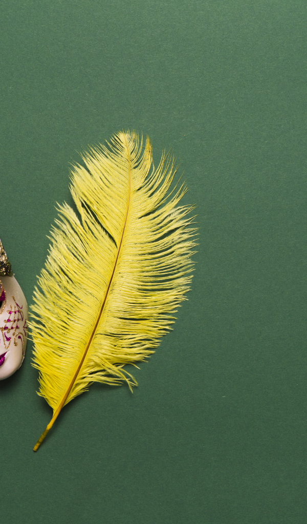 Venetian mask and yellow feather on green background