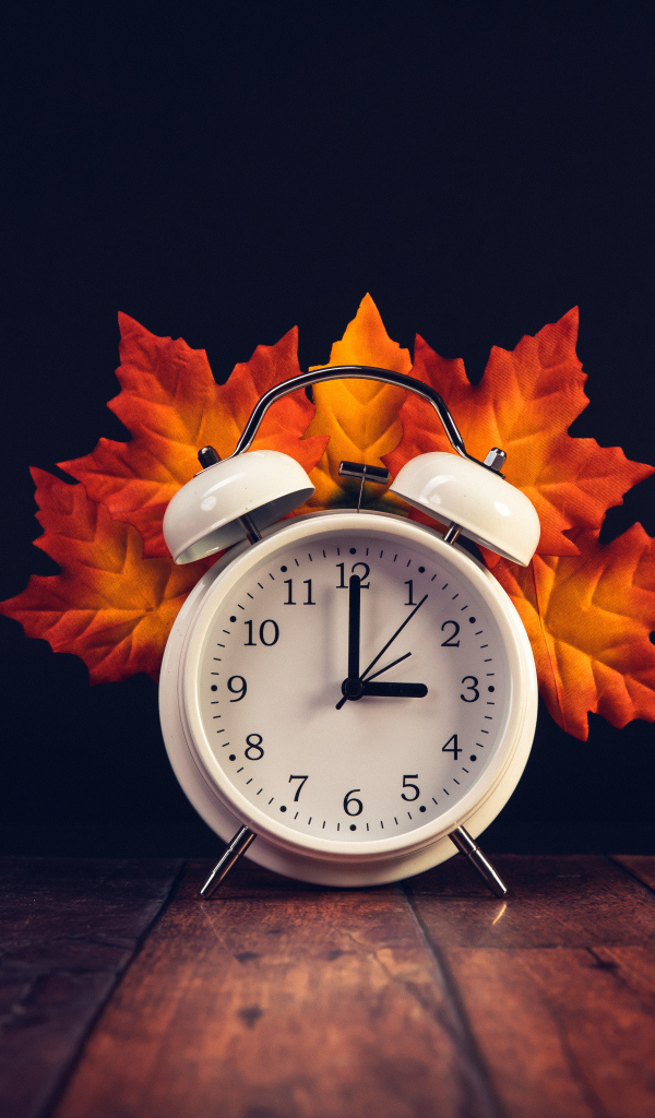 Белый будильник с оранжевыми листьями на столе