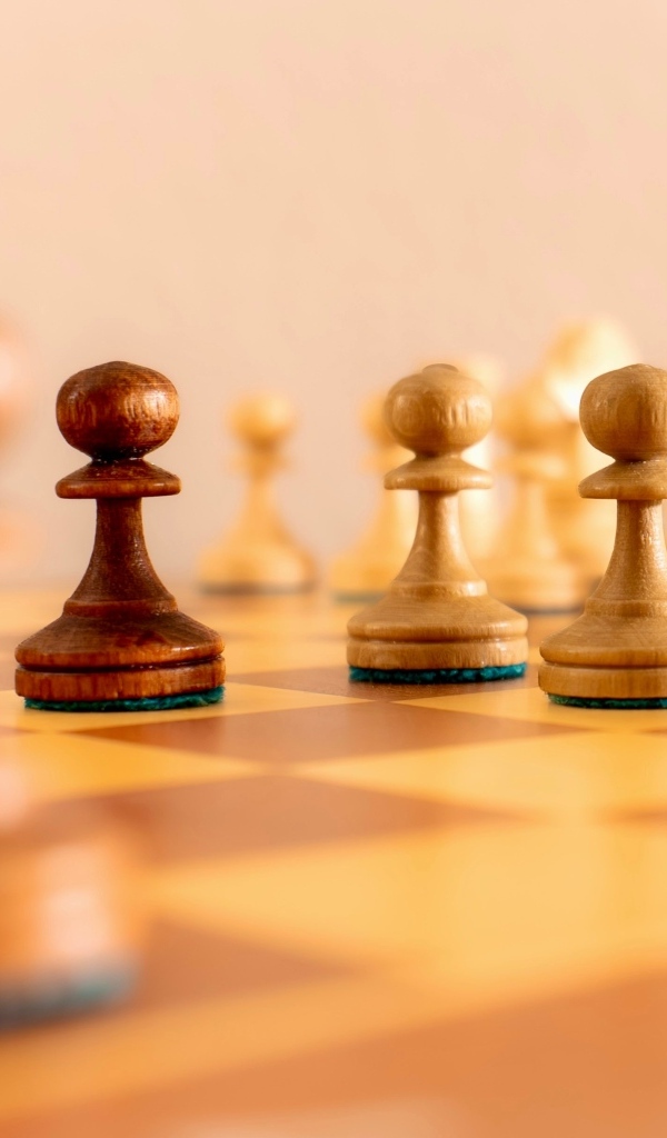 Деревянные шахматные фигуры на доске