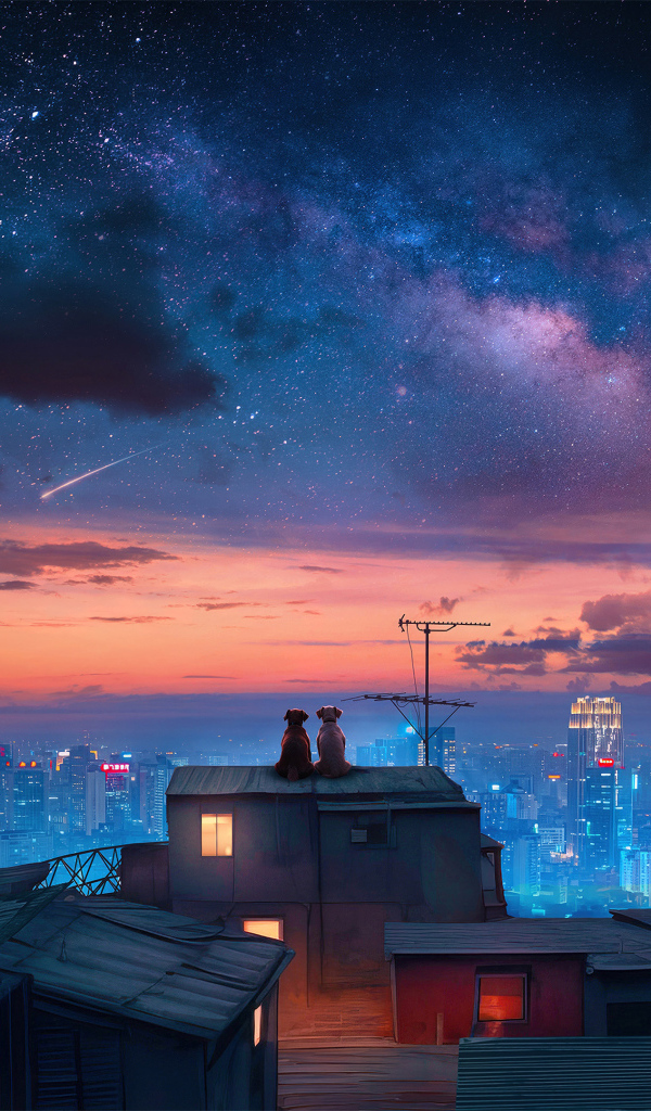 Красивое ночное небо над городскими небоскребами