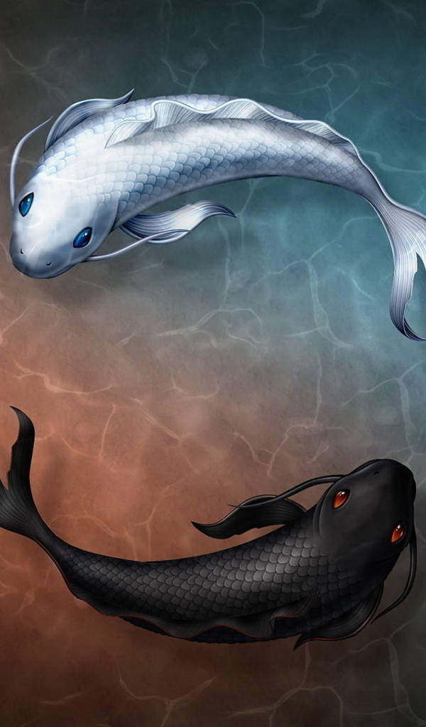 Черная и белая нарисованные рыбы в воде