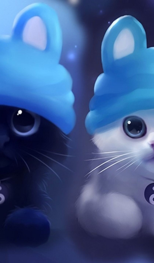 Два котенка инь и янь в шапках