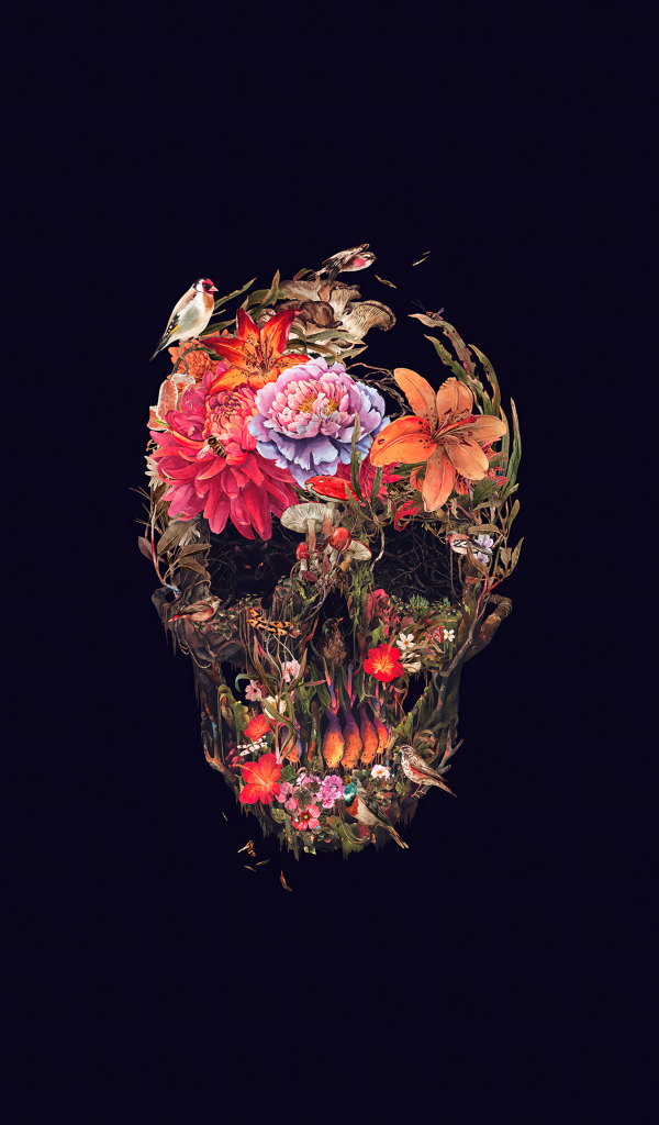 Череп из цветов на черном фоне