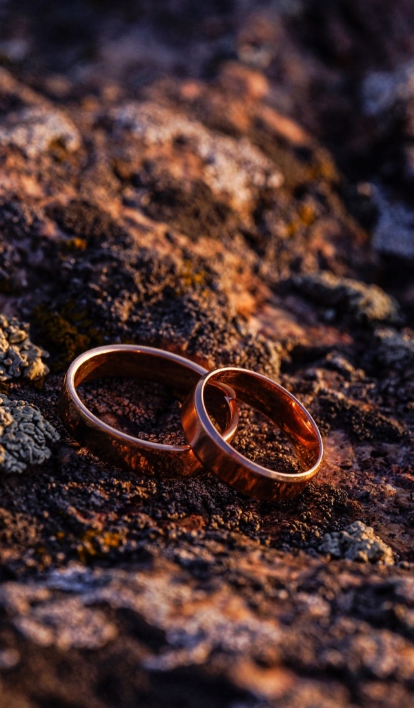 Two wedding rings on the ground